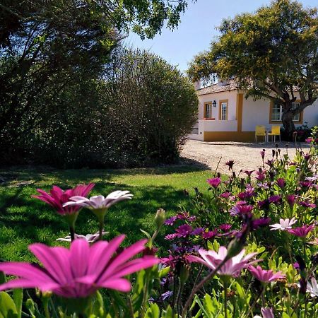 Casas Das Amoreiras Алдея-ду-Меку Екстер'єр фото
